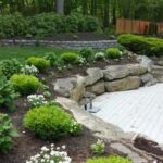 900+ Best Backyard garden ideas in 2024 | garden design, backyard .