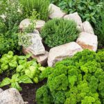 30 Best Small Garden Ideas - Clever Ideas for Small Garde