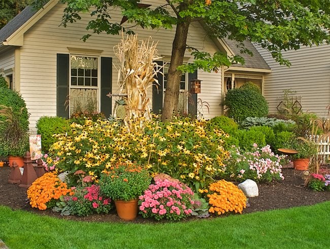 Front Yard Landscaping Ideas | Garden Desi