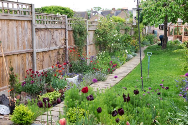 8 steps to the long thin garden of your dreams - The Middle-Sized .