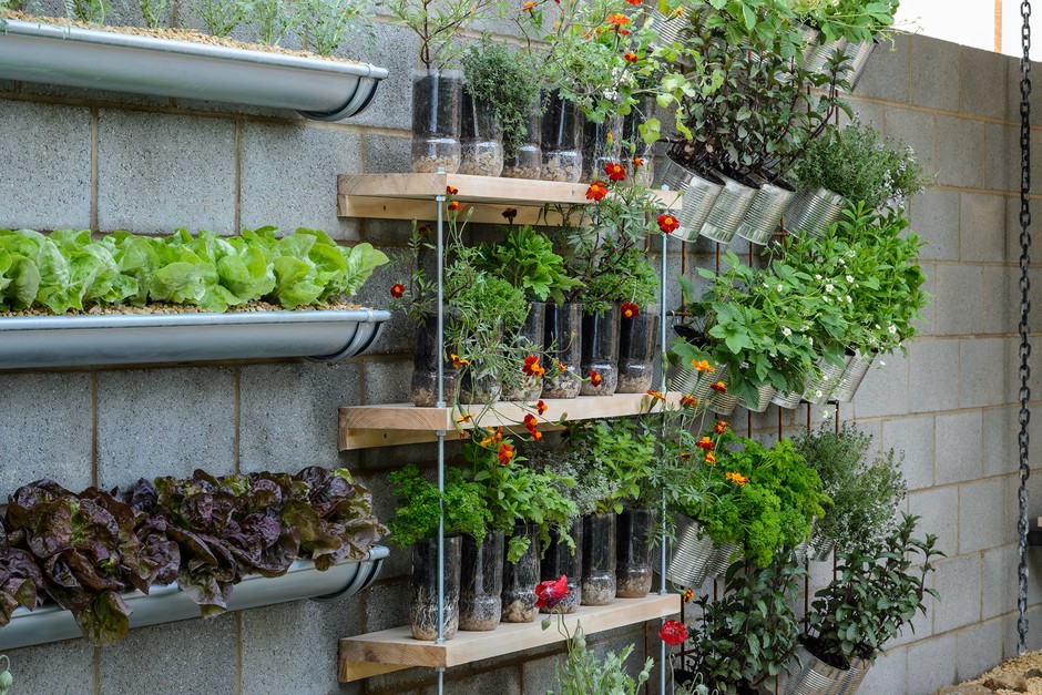 Creative Ways to Transform Your Garden
Without Breaking the Bank