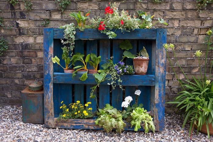 25 Budget Garden Ideas | BBC Gardeners World Magazi