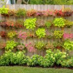 Top Garden Trends for 2020 | Garden Desi