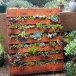 12 Beautiful Pallet Garden Ideas - Roots Nurse