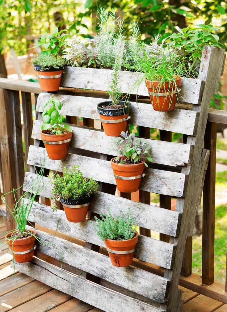 Pin by Tina Patti on Gardens | Small backyard gardens, Diy garden .