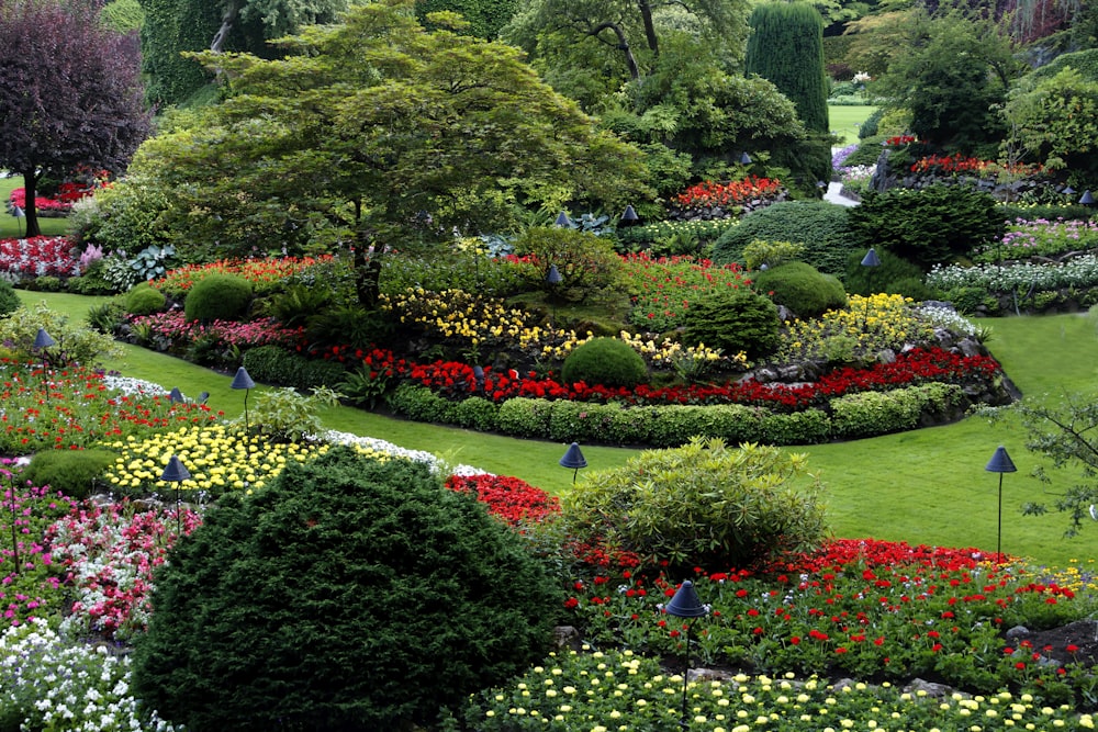 Landscape Garden Pictures | Download Free Images on Unspla