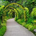 Garden Path Ideas - The Home Dep