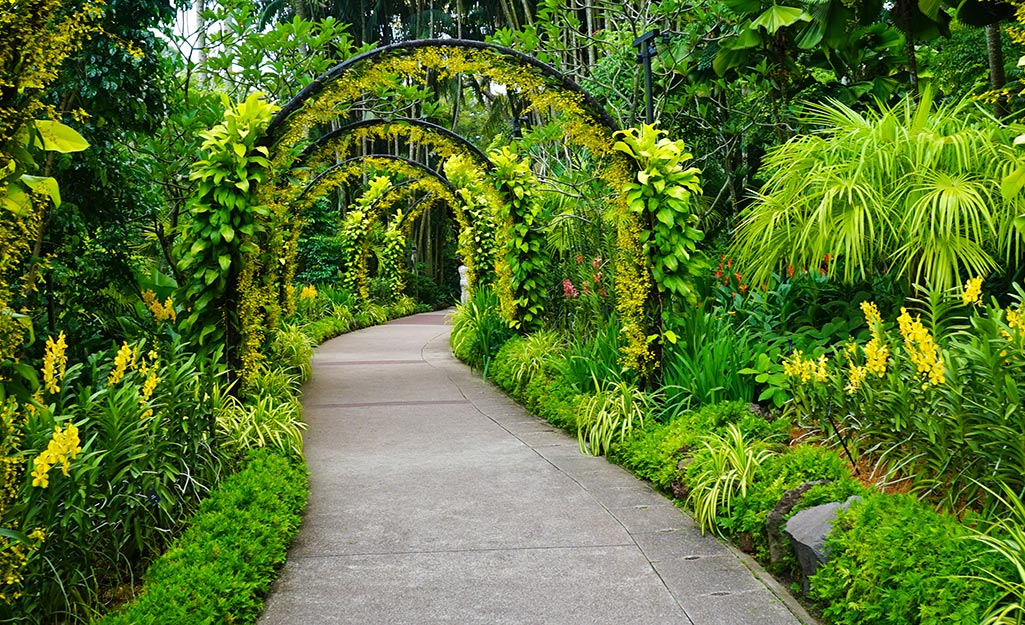 Garden Path Ideas - The Home Dep