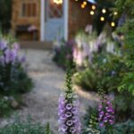 English Cottage Garden Path Planting Details - French Country Cotta