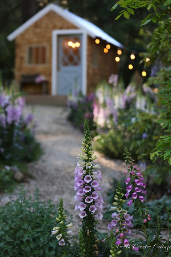 English Cottage Garden Path Planting Details - French Country Cotta