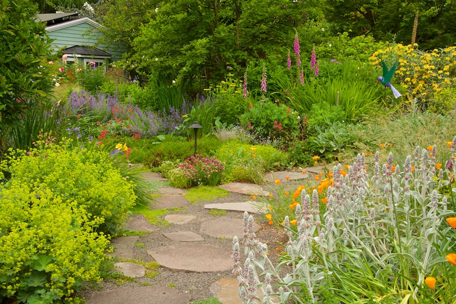 Garden Pathways: Tips and Ideas for Function & Beauty | Garden Desi