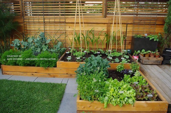 Elevate Your Garden Game With Planter Boxes - Real Ced