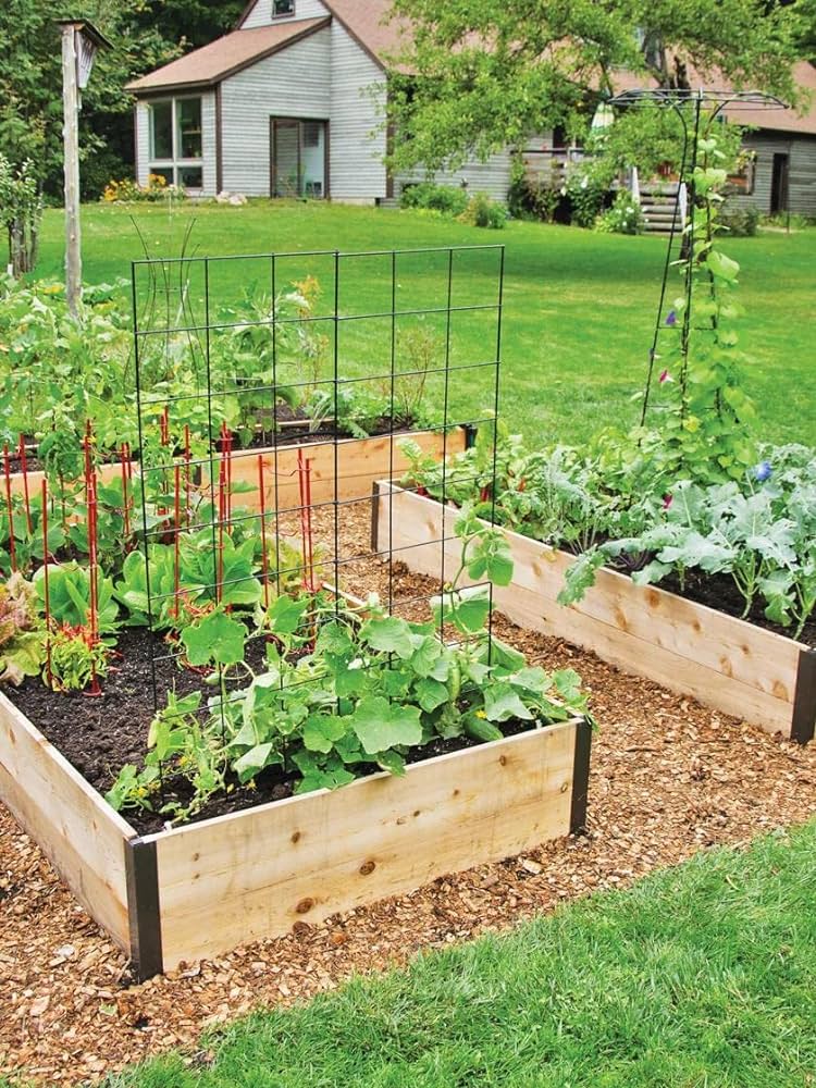 Amazon.com: Gardener's Supply Company Cedar Raised Garden Bed .