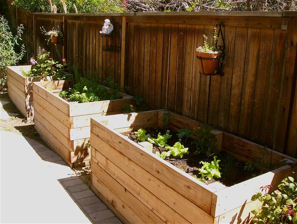 Planter boxes make gardening fun again – Orange County Regist