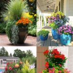 24 Stunning Container Garden Planting Ideas - A Piece Of Rainb