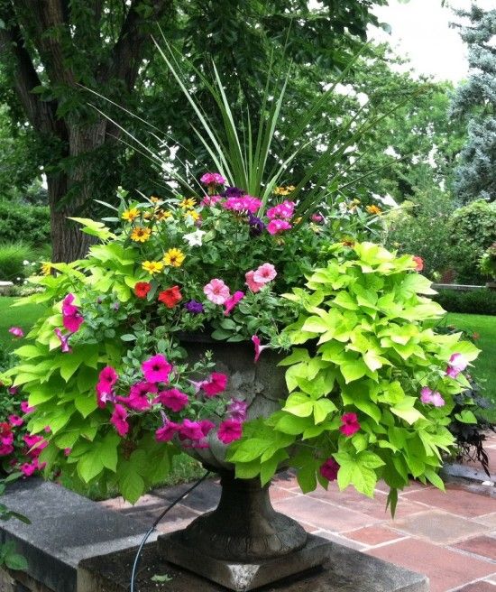 36 Container Garden Ideas to Inspire Your Own Pretty Plantings .