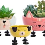 Amazon.com : POINTNIO Cute Plant Pots,Ceramic Garden Pots,Plant .