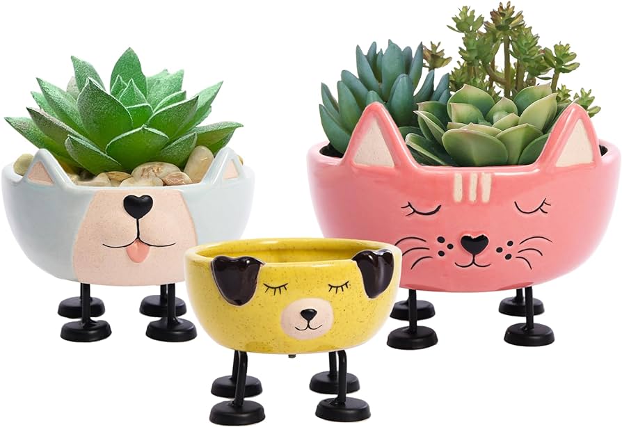 Amazon.com : POINTNIO Cute Plant Pots,Ceramic Garden Pots,Plant .