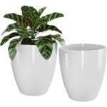 QCQHDU Plant Pots Set of 2 Pack,10 Inch Plant Pot for Indoor and .