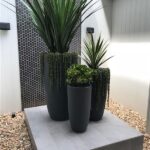 Big Concrete Planters: Modern Outdoor Pots | Potted plants outdoor .