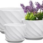 Amazon.com: YINGERHUAN Set of 3 Ceramic Plant Pot - Flower Plant .