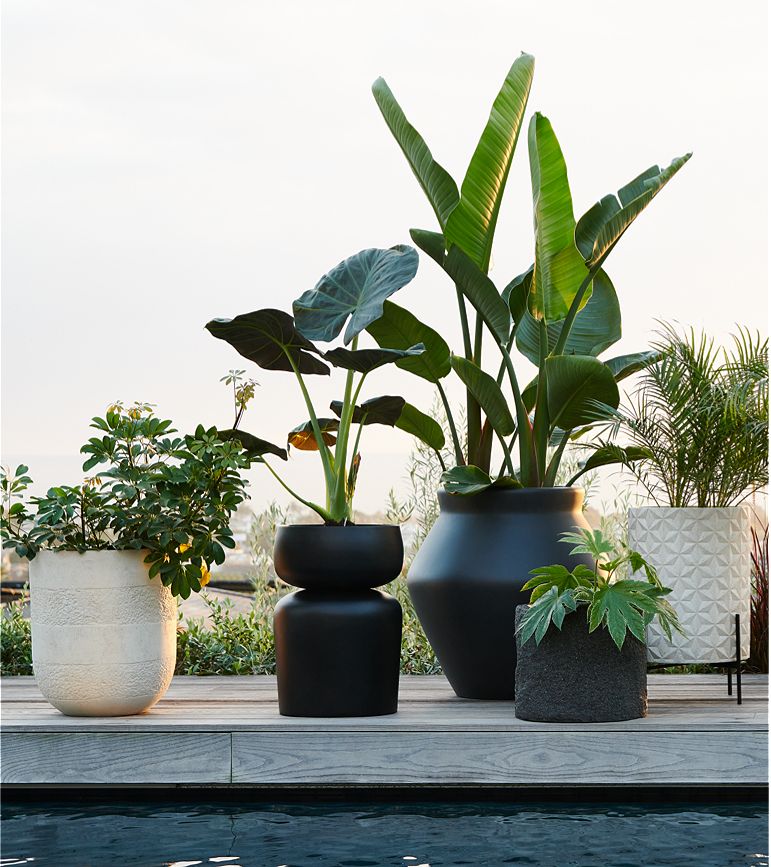 Outdoor Planters, Pots & Garden Tools for the Patio | Crate & Barr