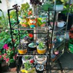 Wired Shoe Rack Outdoor Plant Stand- 26 DIY Plant Stands You'll .