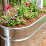 Transform a Water Trough into a Plant