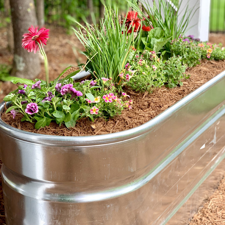 Transform a Water Trough into a Plant