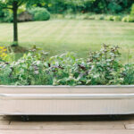 Creative Ways to Use Cattle Troughs in the Garden • Gardena