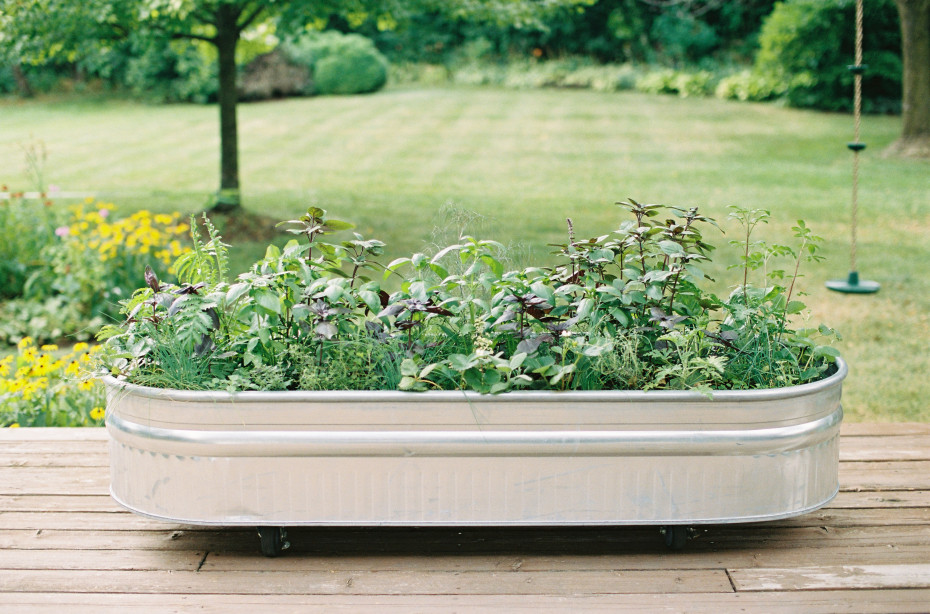 Creative Ways to Use Cattle Troughs in the Garden • Gardena