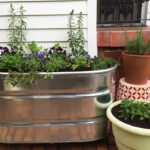 Creative Ways to Use Cattle Troughs in the Garden • Gardena