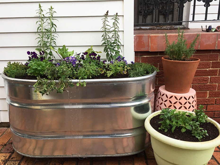 Creative Ways to Use Cattle Troughs in the Garden • Gardena