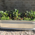 Creative Ways to Use Cattle Troughs in the Garden • Gardena