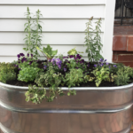 Creative Ways to Use Cattle Troughs in the Garden • Gardena