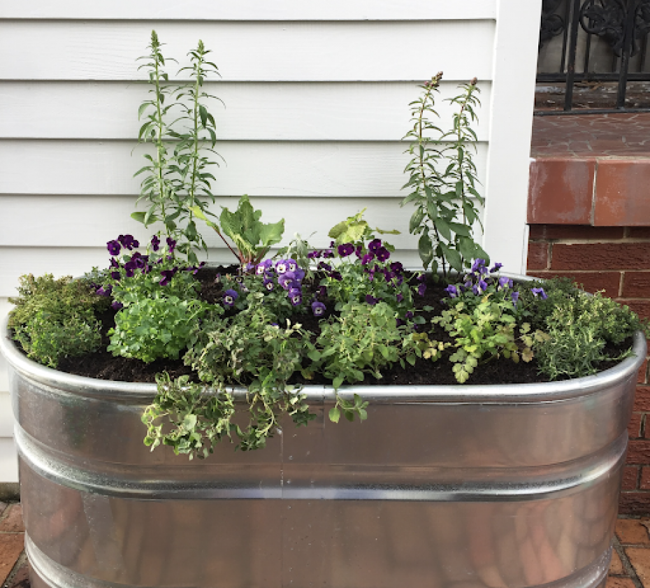 Creative Ways to Use Cattle Troughs in the Garden • Gardena