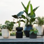 Outdoor Planters, Pots & Garden Tools for the Patio | Crate & Barr