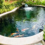 How to Build a Fish Pond - The Home Dep