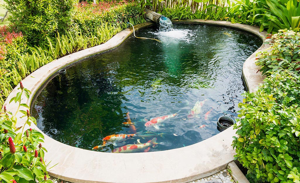 How to Build a Fish Pond - The Home Dep