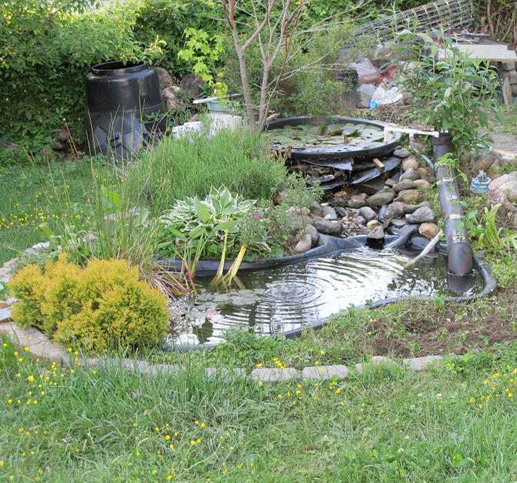 Top 3 benefits of adding a pond to your garden - Bokashi Living .