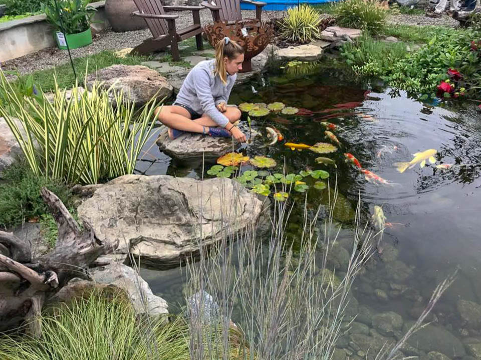 How to Care for Pond Fish - The Ultimate Guide - Splash Supply Compa