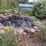 How NOT to build a wildlife pond - PLANT - Tayport Community Gard