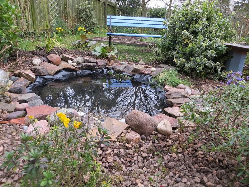 How NOT to build a wildlife pond - PLANT - Tayport Community Gard