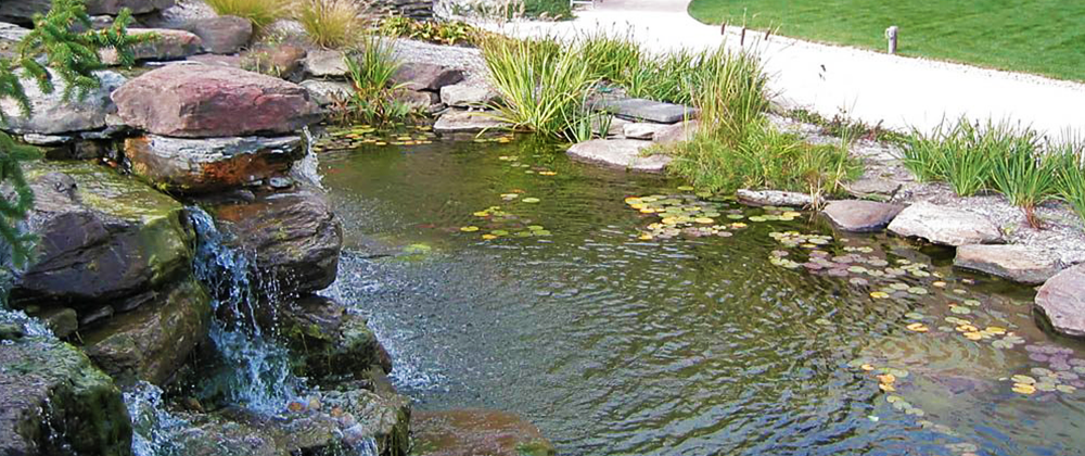 How to Prepare Your Garden Pond for Wint