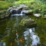 Garden Pond Design Ti