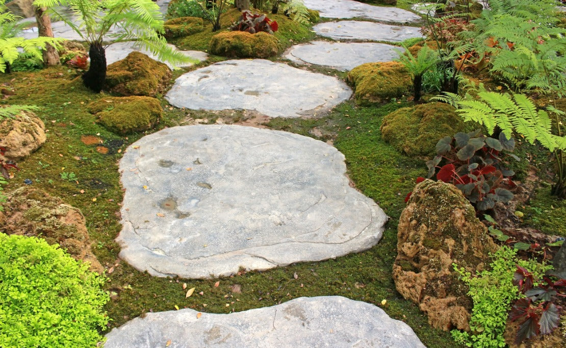 How to Making Garden Stepping Stones - D