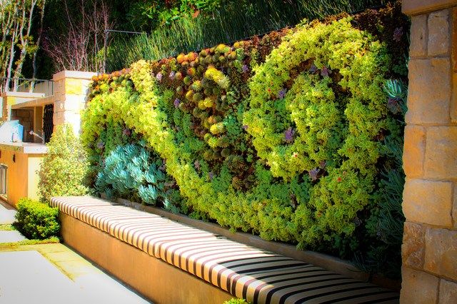 Vertical Garden Wall with Ben