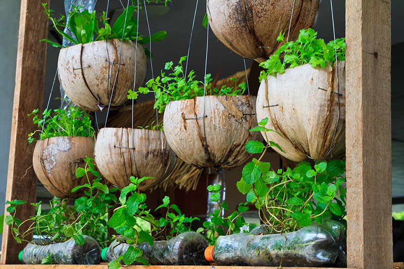 25 Incredible Vegetable Garden Ideas | Trees.c