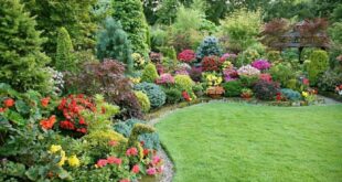 Garden ideas for your inspiration | Gardeningtheme.c