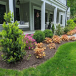 Must Have Fall Gardening Ideas | Campbell & Ferrara | Falls Church,